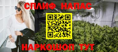 jwh Гусев
