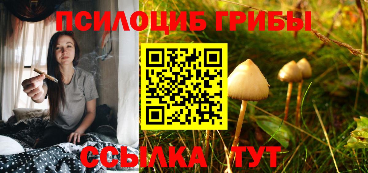 Москва  Галлюциногенные грибы GOLDEN TEACHER  продажа наркотиков  Вход с VPN 